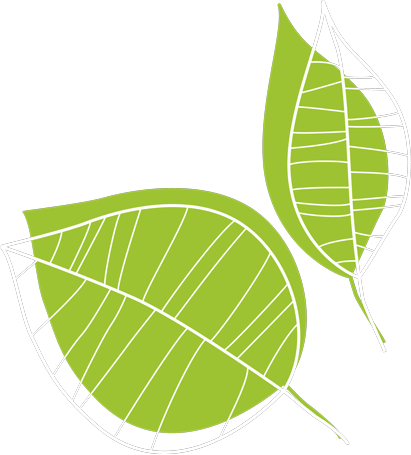 Taille douce et respectueuse :