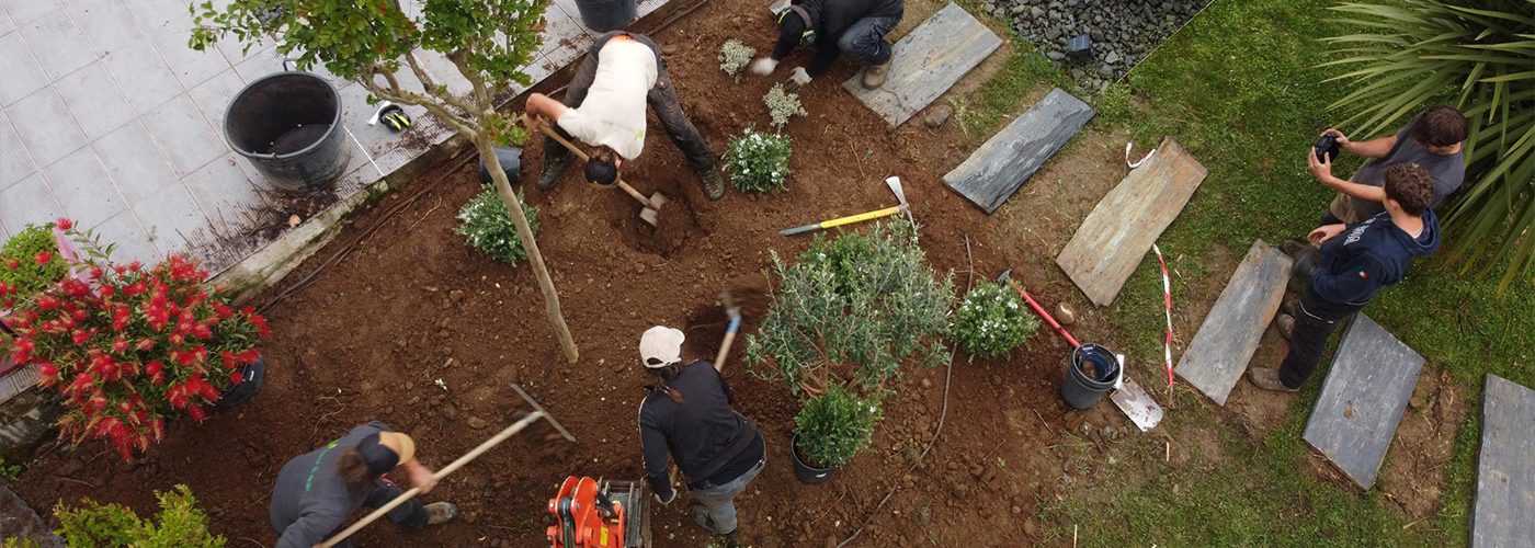 Entretien régulier de jardin avec taille et nettoyage
