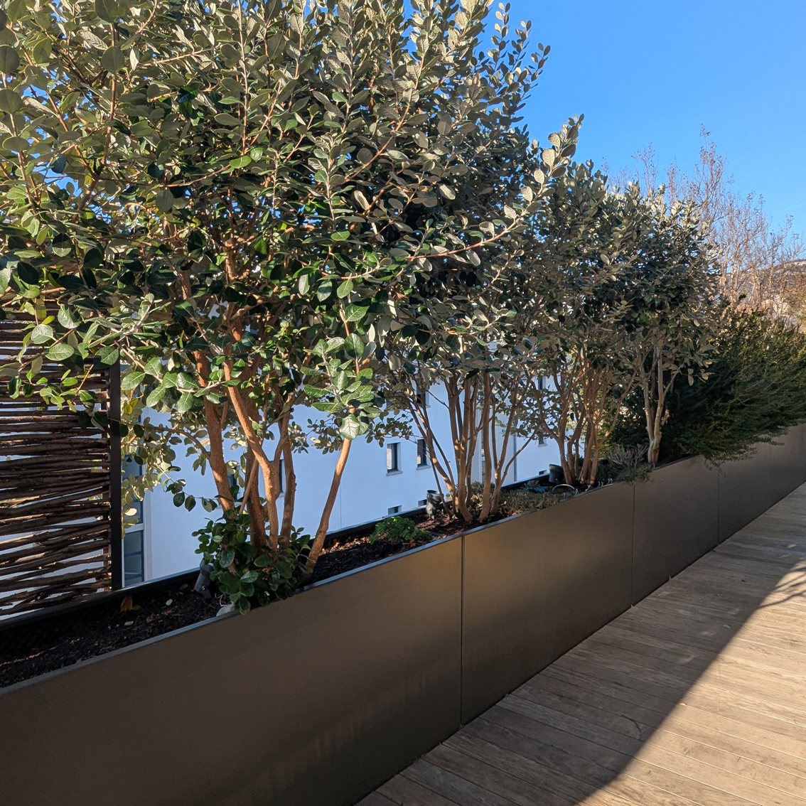 Terrasse extérieure aménagée pour espace de vie en plein air